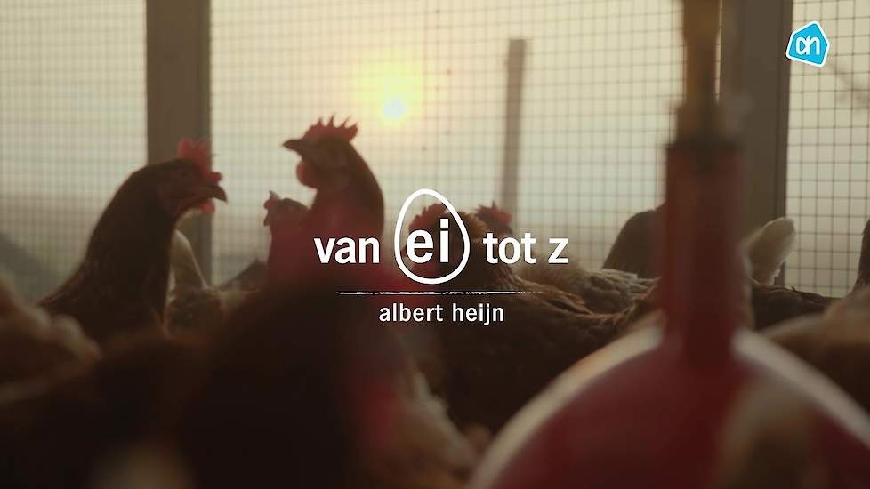 Albert Heijn | Van Ei tot Z