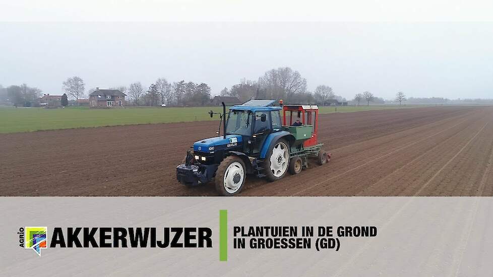 Plantuien in de grond in Groessen (GD)