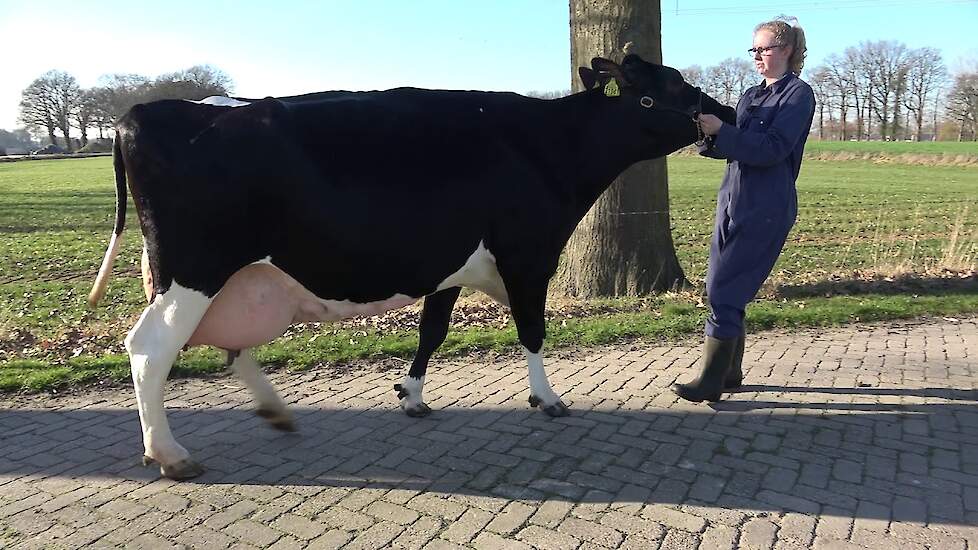 Weggelhorster Dirndel 51 van de familie Haytink uit Lochem (GD)