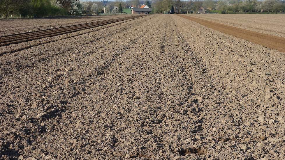 „Deze lössgrond is echt van goede kwaliteit. Ik wou dat ik hier 500 hectare van had”, zo laat Thur op de akker weten.