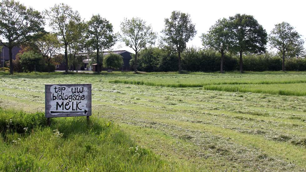 ’s Morgens 14 mei om 10 uur is ook het laatste perceel gemaaid. Het gras ligt ‘los’.  Zon en wind kunnen hun werk doen.