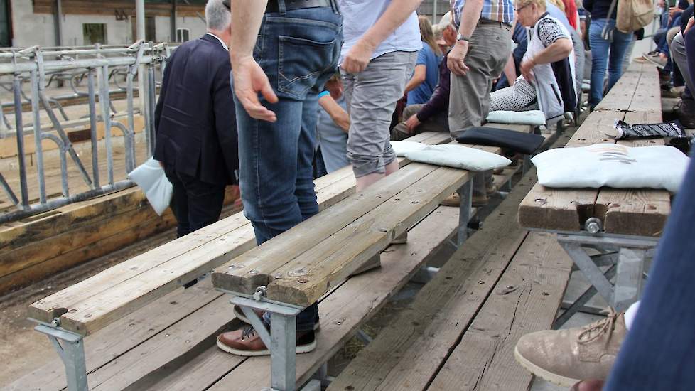 In de stal van Reimert is een tribune gebouwd die plek biedt aan ruim honderd man. De organisatie deelt kussentjes uit omdat het comfort te wensen over zou laten. Een geluid wat de bezoekers na afloop beaamden.