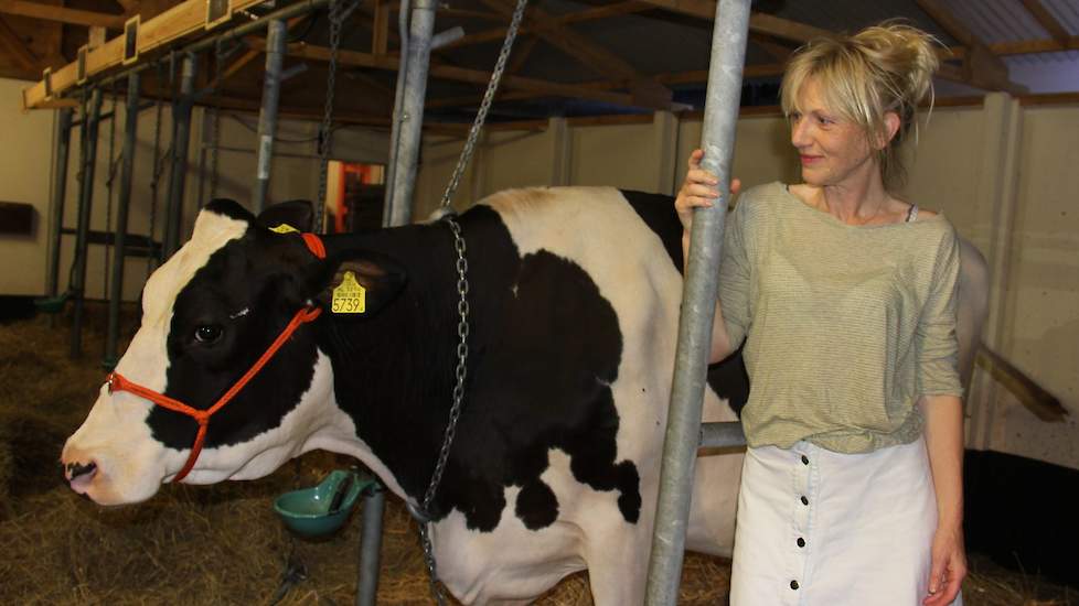 Met de show Hanna van Hendrik komt er een langgekoesterde droom van Johanna ter Steege uit, die de ambitie had om 'ooit nog iets in het Twents te doen'. Toen ze Huub Stapel vroeg om deel uit te maken van de nog te komen plannen, zei hij volmondig 'ja'.