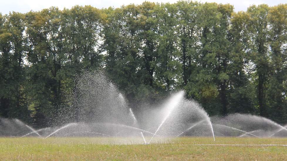 Nusselder is er volgens eigen zeggen best druk mee, hij verzet de sproeiers op zijn huiskavel geregeld voor zijn 120 melkkoeien.