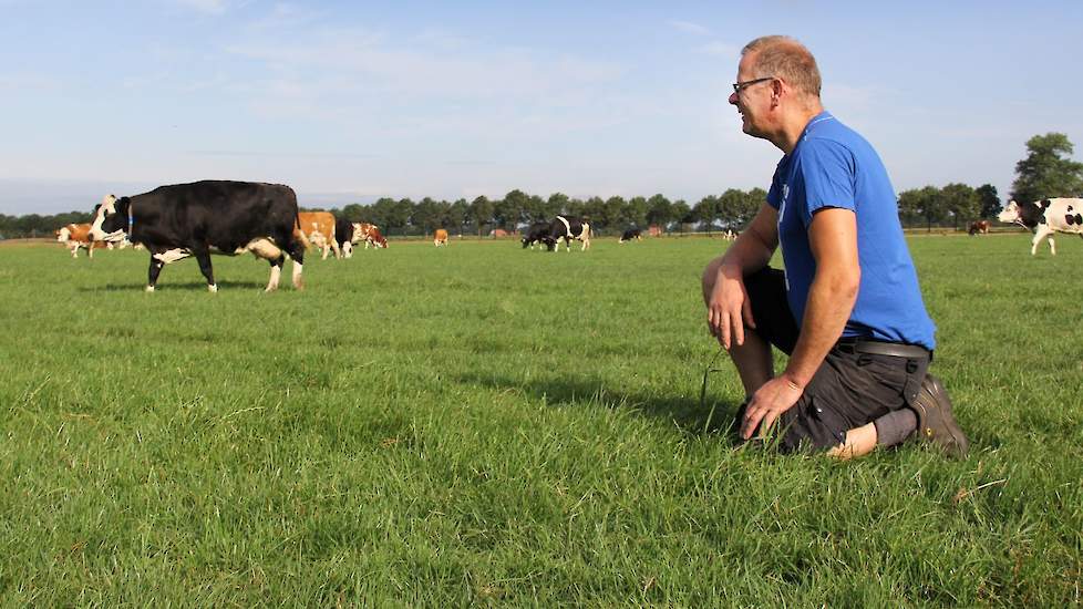 Melkveehouder Hans Kroezen in het Achterhoekse Silvolde (GD) is blij dat hij beregent. De 95 melkkoeien kunnen blijven weiden en halen volgens hem op een dag als vandaag toch 7 kilogram droge stof op uit weidegras. Het ‘gestoei’ met de beregening door het