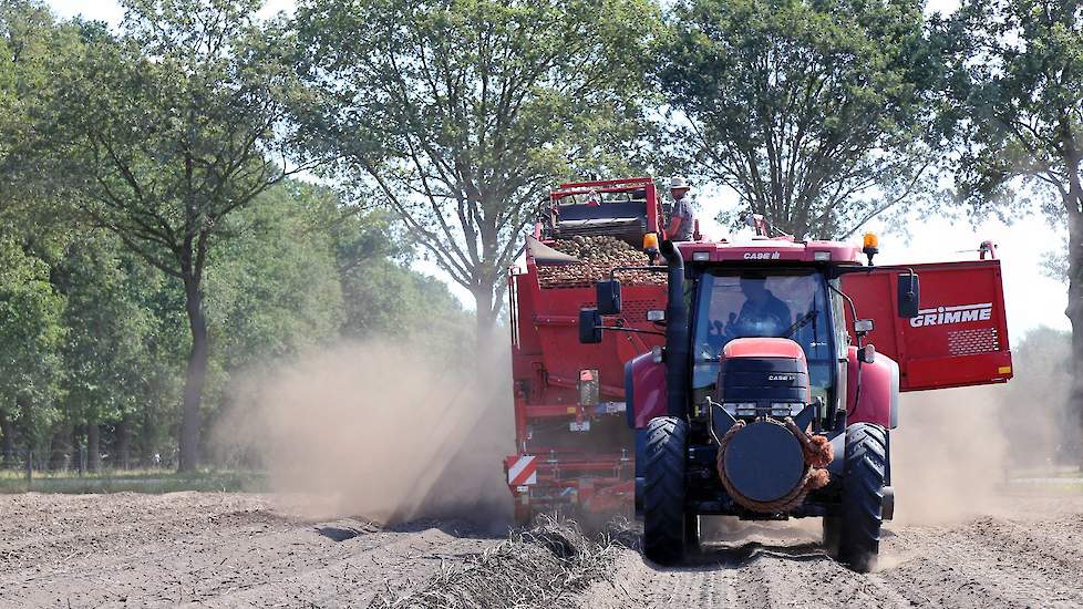 Akkerbouwbedrijf Snijders uit Winterswijk heeft inmiddels 10 procent gerooid van de in totaal 200 hectare pootgoed. Van het ras Jaerla heeft het Achterhoekse bedrijf zo’n 20 hectare (foto).