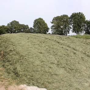 De graskuil van de derde snede bevat volgens Looman 2 ton drogestof per hectare. „Maar na drie keer beregenen, en het gras staat al ruim twee maanden, houdt dat dus bepaald niet over.”