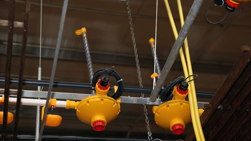 Om de 25 meter hangt een drukregelaar. „We denken dat de drinkwaterverdeling daarmee beter is. De dieren ontvangen snel voer en gaan daarna met zijn allen drinken. Door een snelle voer- en waterverdeling verdringen de dieren elkaar niet. Dan is er minder