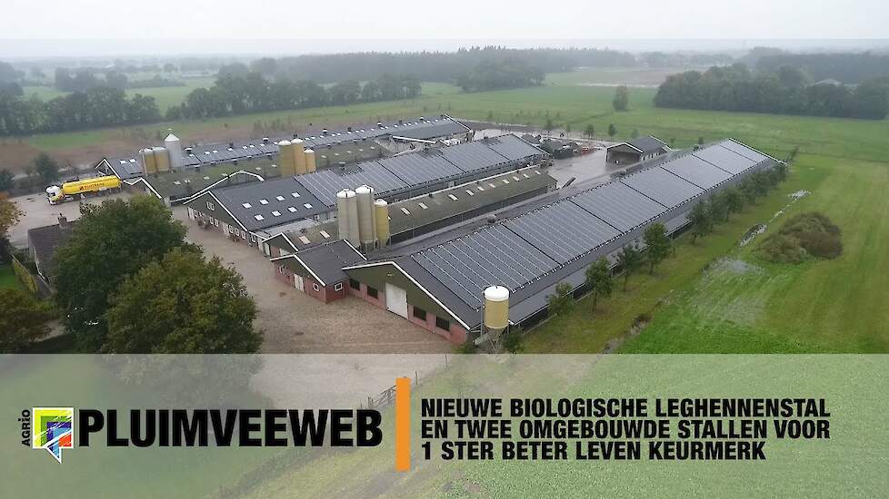 Nieuwe biologische leghennenstal en twee omgebouwde stallen voor 1 ster Beter Leven keurmerk