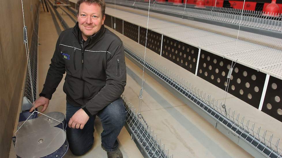 Om meer ruimte te creëren voor de hanen om te paren, koos Kemper in zijn nieuwe stal als één van de eerste vermeerderaars in Nederland voor een sleepketting hanenvoersysteem.