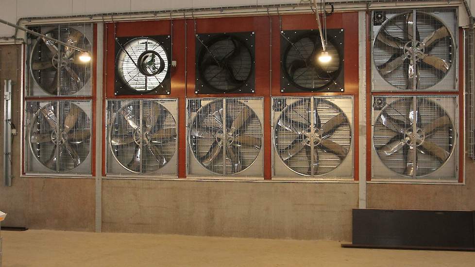 Kemper koos net als in zijn andere stal voor lengteventilatie. In de achterwand zitten tien ventilatoren waarvan drie regelbare. Voor de eerste regelbare ventilator zit een meetwaaier. „De ventilatiecapaciteit is ruim. Ik heb zomers liever een ventilator