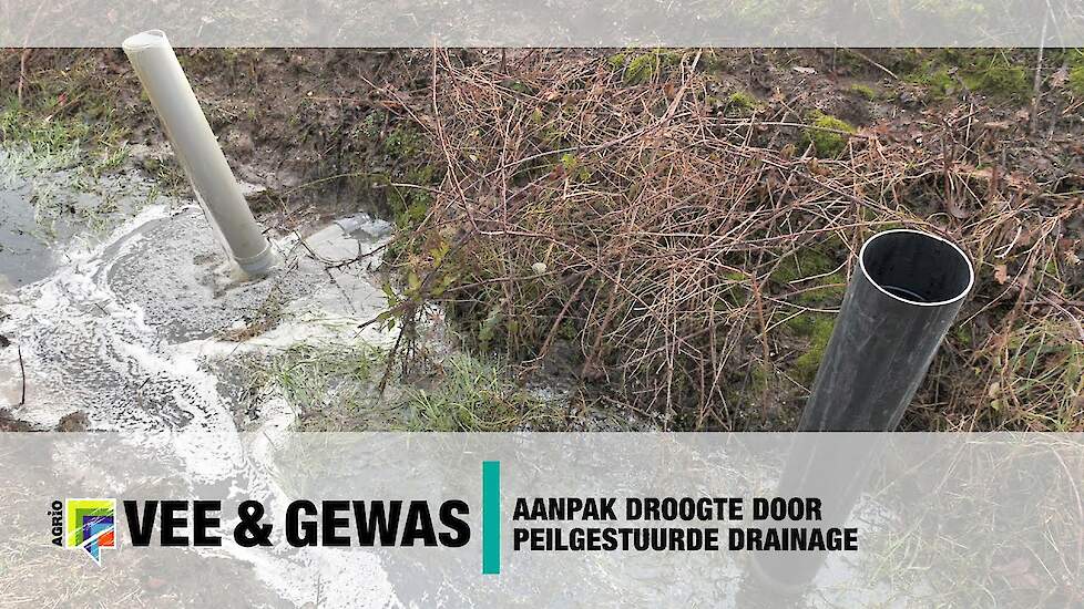 Aanpak droogte door peilgestuurde drainage