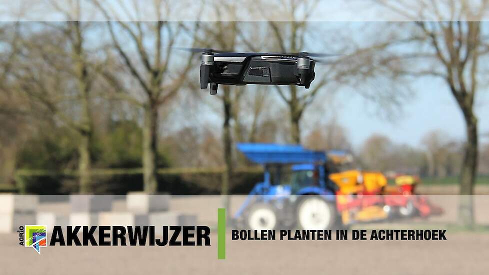 Bollen planten in de Achterhoek