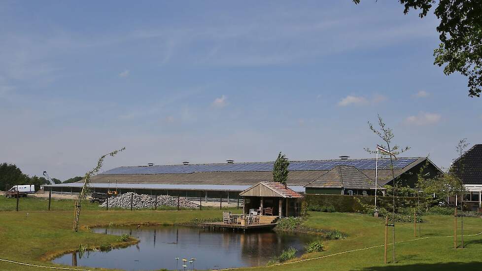 Op hun nieuwste stal uit 2005 liggen zonnepanelen.