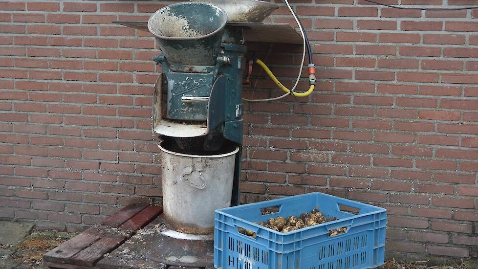 De aardappelen voor de supermarkt worden gespoeld en geschrapt….