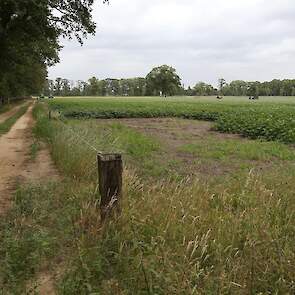 Westerveld gaat vandaag de pootaardappelen in met drie medewerkers en een vakantiekracht. Elke week worden de percelen gespoten tegen luizen. „Ik doe wat maximaal toelaatbaar is, de luizendruk is hoog." De keurmeester komt waarschijnlijk komende week voor