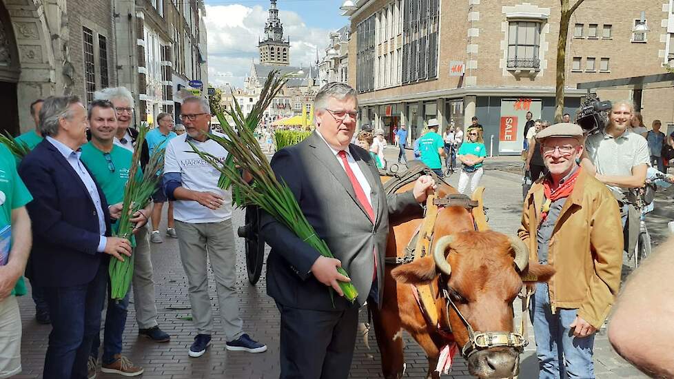 Burgemeester van Nijmegen Hubert Bruls en koe Leentje.