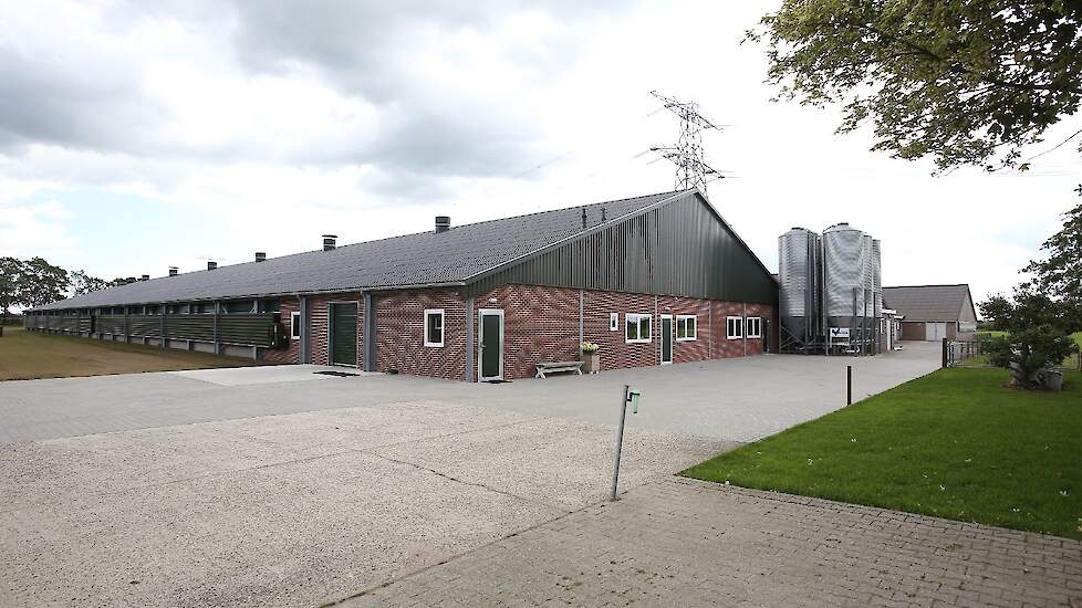 De nieuwe stal van 28 bij 100 meter binnenwerk, waarvan 28 bij 93 meter dierverblijf is, staat op de plek van twee oude smallere stallen naast de twee bestaande stallen uit 2009 en 2004.