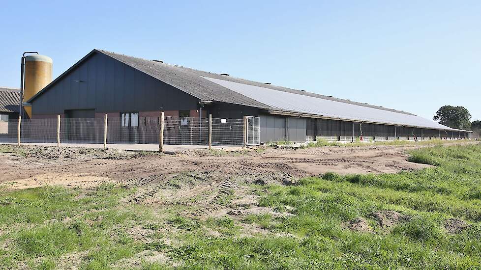 De jonge ondernemer kocht een bestaande stal van 18 bij 100 meter van een leghennenhouder uit Lunteren, waar voorheen leghennen in kooihuisvesting waren gehuisvest. Zijn bouwbedrijf Beek Montage brak de stal compleet af en hergebruikte de spanten, prefab