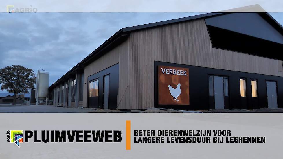 Pluimveehouder Ariën Verbeek wil leghennen 90 weken houden in nieuwe stal