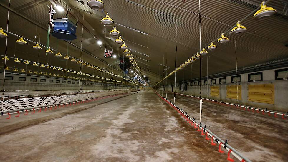 In de 22,4 meter brede en 114 meter lange stallen hangen vijf rijen voerlijnen en zes rijen drinknippellijnen. De hoppers van de voerlijnen hangen in het midden waardoor Westerhof tien voerlijnen heeft. Iedere drinknippellijn bestaat ook uit twee gedeelte