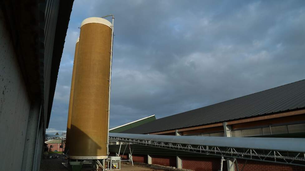 De familie kocht twee tweedehans vlakbodemsilo’s van ieder 45 ton. „De leverancier van de silo’s bood ons deze tweedehands silo’s aan. De capaciteit is ruim voldoende. Als we nieuwe hadden gekocht hadden we kleinere genomen. Maar ik heb liever iets meer c