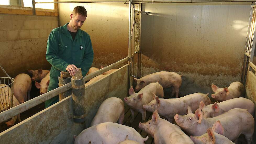 Als afleidingsmateriaal in de stal gebruikt hij onder andere strokokers. Remco is de bedenker van het product dat door heel Nederland afgezet. Via de koker worden varkens van stro voorzien en komen er geen grote hoeveelheden stro in de mestkelder.