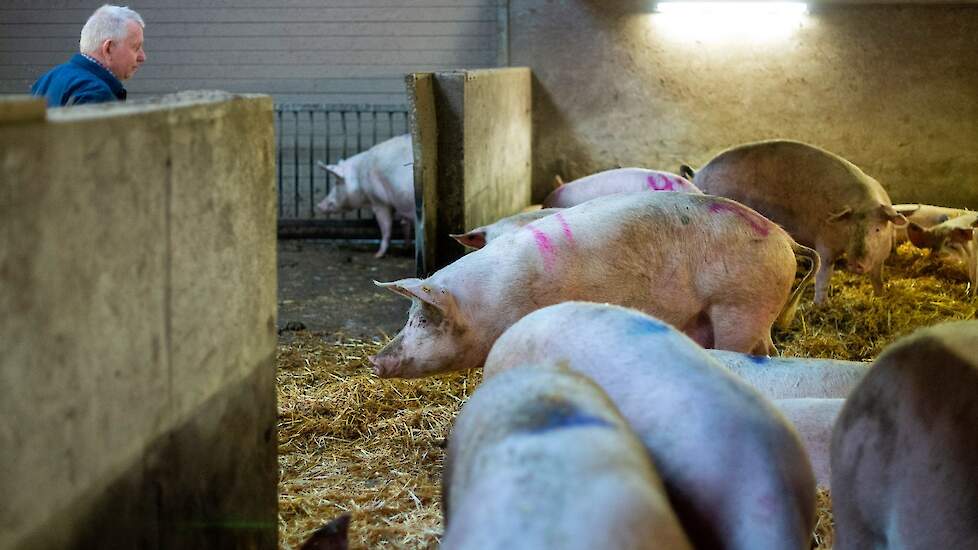 De keuze voor de omschakeling naar een biologische bedrijfsvoering was een bewuste, legt Janny uit. „Andries en ik zagen de maatschappelijke discussie op gang komen over dierenwelzijn in de veehouderij. We waren toen al aan het nadenken over het anders ho