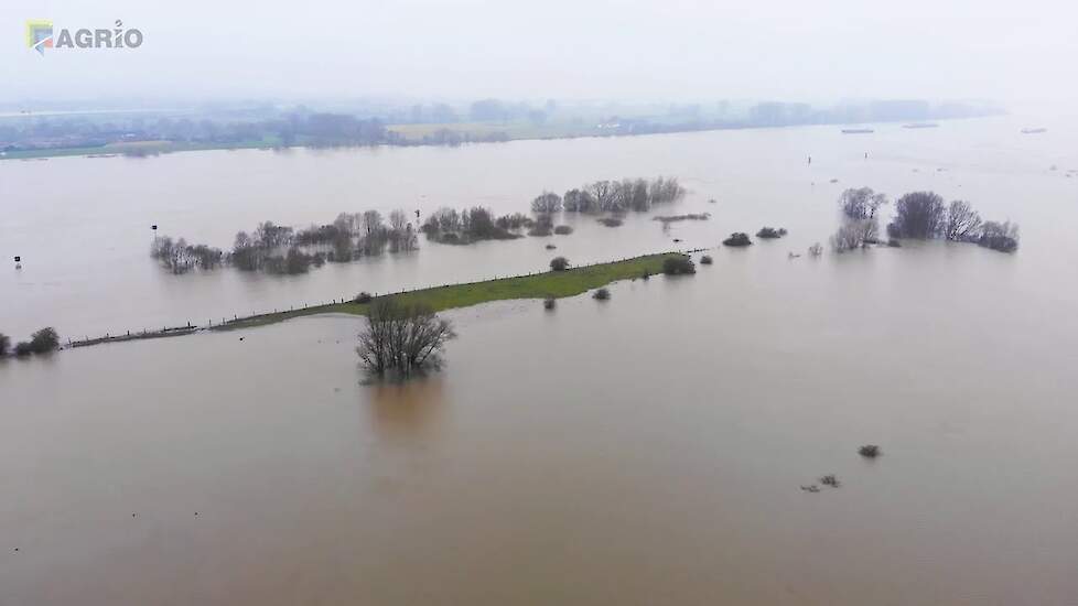 Hoogwater: Rijn en IJssel treden buiten de oevers!