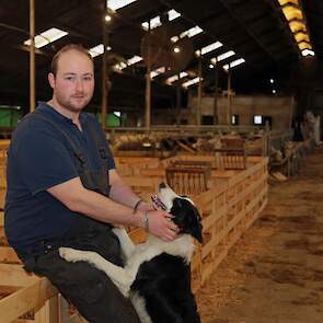 Schapenhouder Mart de Vries in zijn stal in Saasveld samen met schepershond Jazzie.