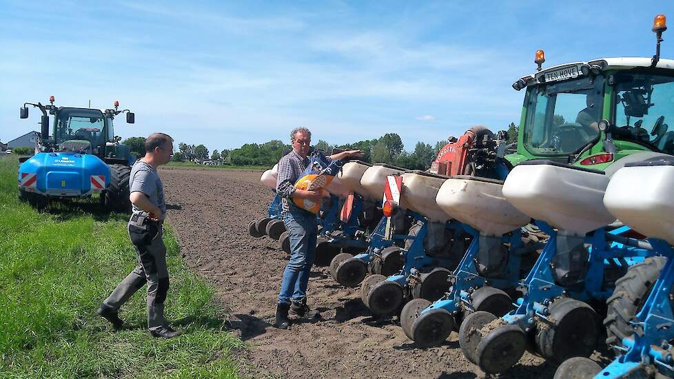 Los van de demoveldjes, wordt het overige allemaal ingezaaid met het ras MAS 08F. Een zeer vroeg ras met FAO van 180.