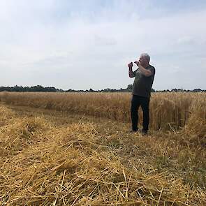 Harrie Nies uit Huissen (GD) oogst een perceel met gerst in Leuth (GD).