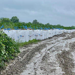 In het gebied moet 85 hectare maïs, 14 ha bieten en 15 ha aardappelen worden beschermd.