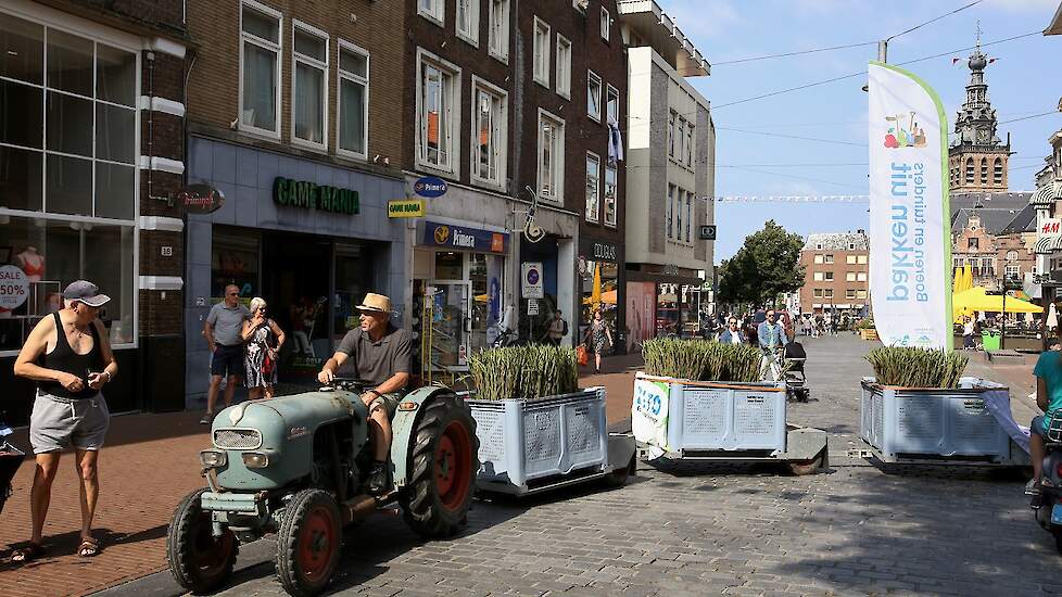 Om het Vierdaagsegevoel dichterbij te brengen, trokken boeren van het ommeland met een platte kar en pluktrein door de stad om gladiolen te verkopen. De opbrengst gaat net als vorig jaar naar het Nijmeegse Marikenhuis, een inloophuis voor mensen die zijn