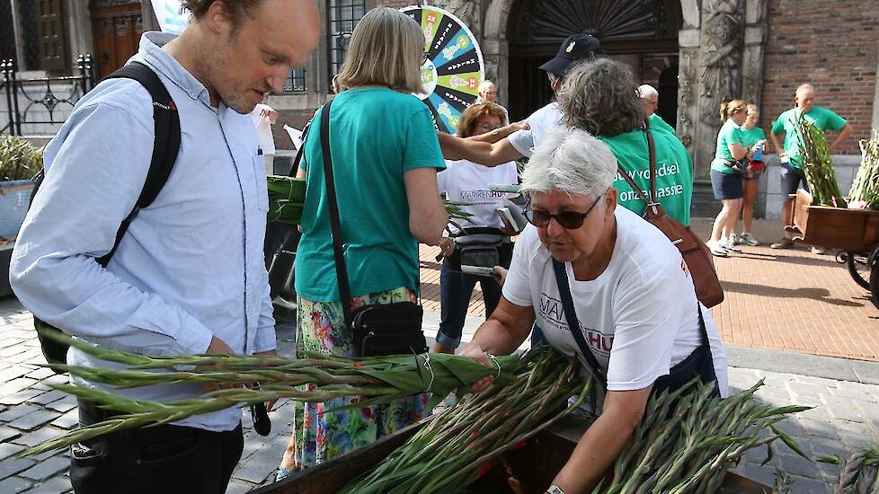 De gladiolen worden normaal gesproken uitgedeeld aan Vierdaagselopers die het wandelevenement hebben volbracht. Vanwege de coronapandemie gaat de Vierdaagse voor de tweede keer op rij niet door, waardoor boeren met de bloemen blijven zitten.