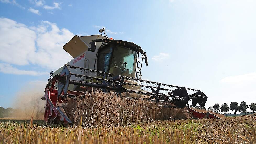 De oogst is naar tevredenheid. „8 Ton per hectare, dat is goed voor de zandgronden in de Achterhoek.” Het vochtgehalte komt uit op 12,1 procent.