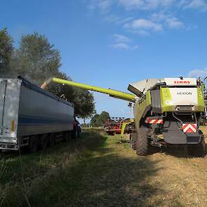 De oogst is verkocht aan een varkenshouder uit de buurt.