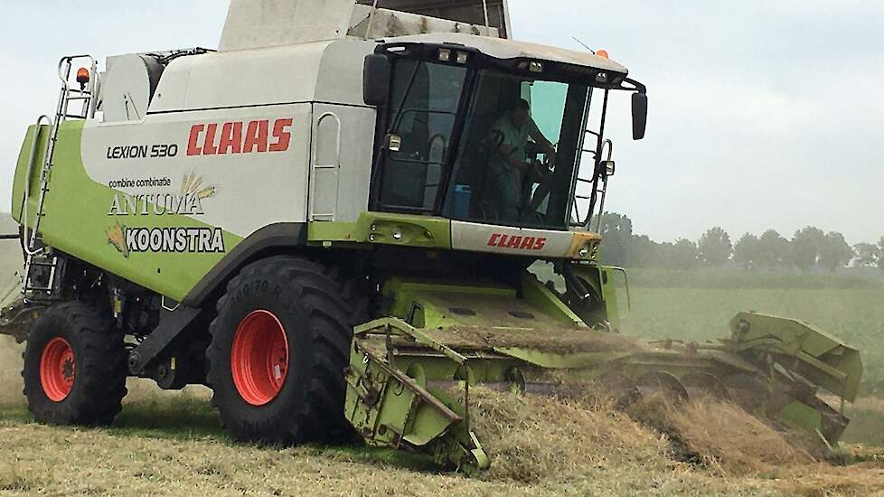 Het gras wordt met een Claas Lexion 530 gedorst door Arie van loonbedrijf Antuma uit Dedemsvaart.