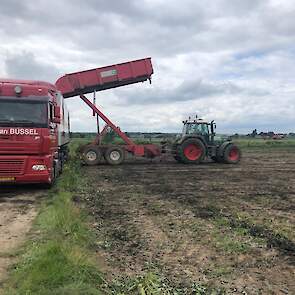 Met een overslagkiepwagen worden de tuinbonen in de vrachtwagen gedumpt. De groene bonen worden vervoerd in een laag water, omdat ze anders zwart van kleur worden.