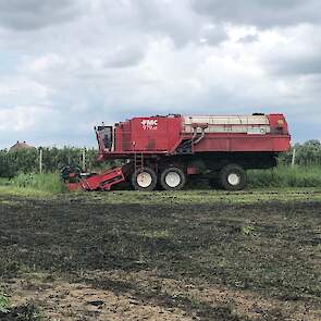 De machine kan 1700 kilogram bonen oogsten en moet daarna gelost worden. VanRijsingen uit Helmond zit middenin het oogstseizoen en is een van de grootste vollegrondsgroentenverwerkers van Nederland.