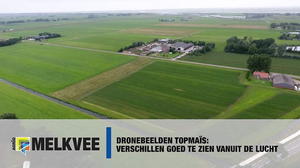 Dronebeelden Topmaïs: Verschillen goed te zien vanuit de lucht