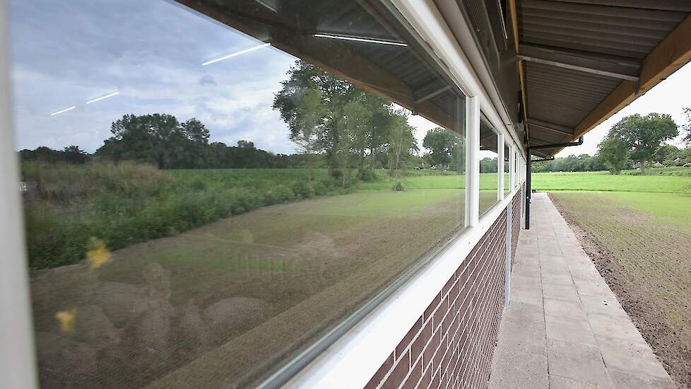 In de stal komt vier procent daglicht binnen via de ramen.