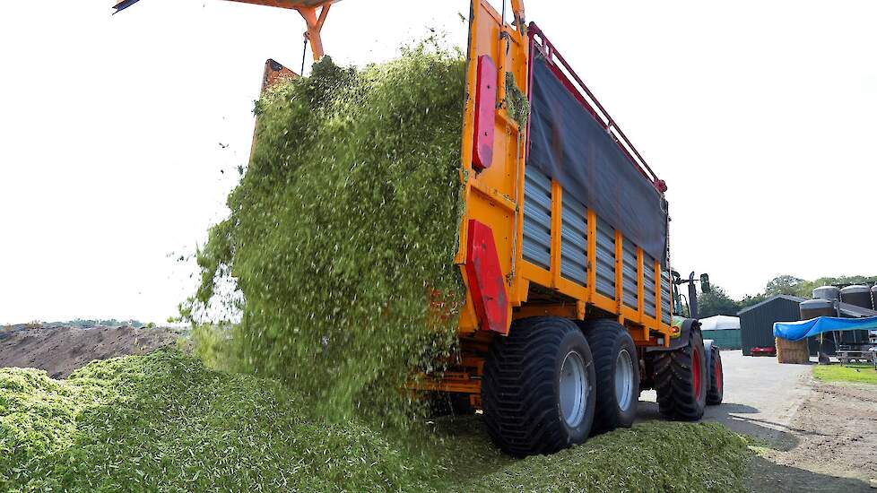 Herman Reinders rijdt langs met de wagen. De wagen mag niet te vol zijn, anders verdeelt de hennep zich moeilijker bij de kuil.