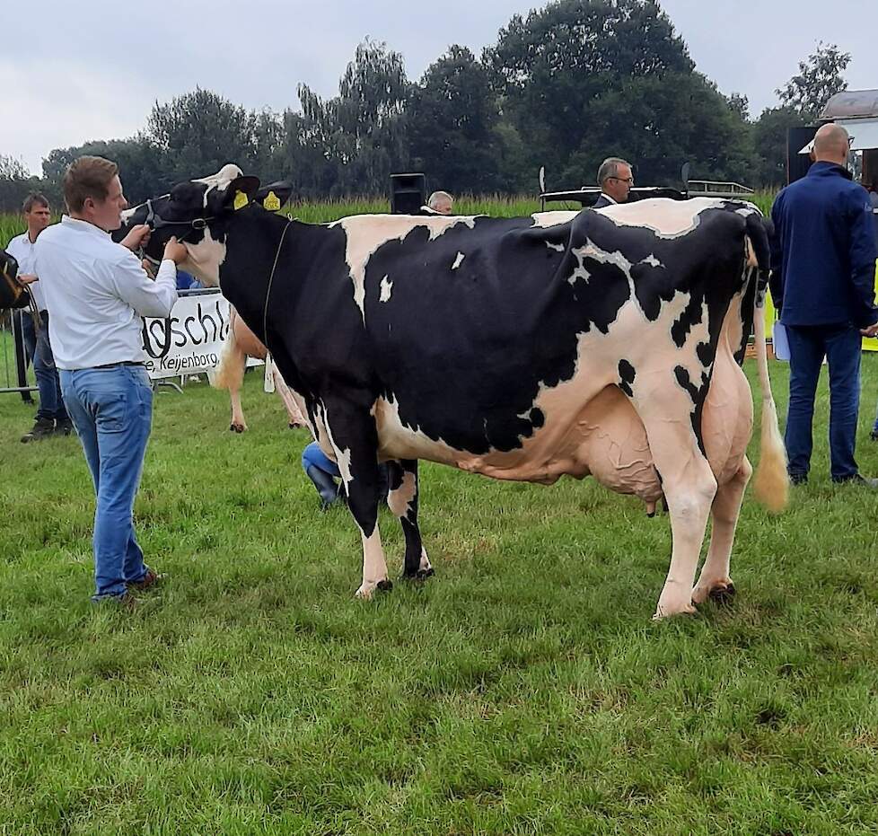 Hillie 20 (v Altaspot), de algemeen kampioen in Laren