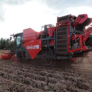 De helft van het areaal aardappelen van Hulshoff is inmiddels gerooid, voornamelijk pootgoed. Van de consumptie- en zetmeelaardappelen moet nog een flink areaal worden geoogst.