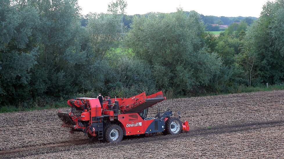 De aardappelen - Agria - hoefden niet te worden beregend voor de oogst. „De grond was mooi zacht, we hebben een week voor de oogst nog een mooi buitje gehad.”