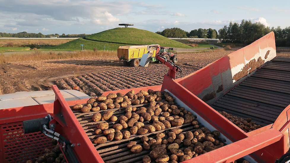 Het perceel ligt naast het kunstwerk langs de nieuwe N18, de weg van Varsseveld naar Enschede. Door de aanleg van de weg is het perceel van Hulshoff flink kleiner geworden.