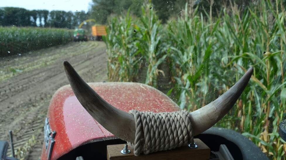 Joep heeft 'zijn' trekker bij Eugelink versierd met koeienhoorns. "De baas zag het eerst niet zo zitten, maar uiteindelijk mocht het wel", vertelt hij. "Mooi ding toch?"