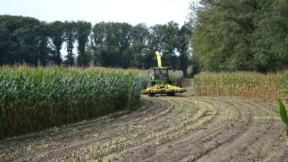 De tien hectare maïs in Langerak zijn van een veehouder achter Doesburg, vijftien kilometer verderop. Omdat dat best een eindje is met de trekker, rijdt er ook een vrachtwagen van Eugelink mee. De komende weken zullen Joep, Rick en hun collega's volop bez