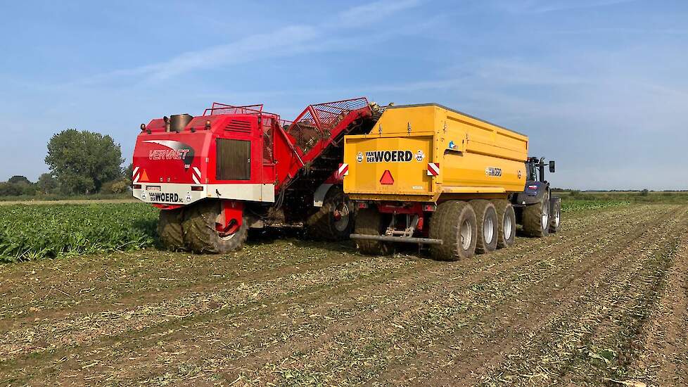 De omstandigheden bij het rooien van de suikerbieten waren heel mooi. Van der Woerd verwacht goede opbrengsten van dit perceel. Bij de laatste veldbezoeken van de TopBodem-partners leken de bieten op het zomergeploegde land heel mooi. Ook de gewoelde en m